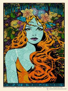 Poster collecting : Dave Matthews Band - live at Virginia Beach 11 july 2015 !! cartel concierto 30x40 !!